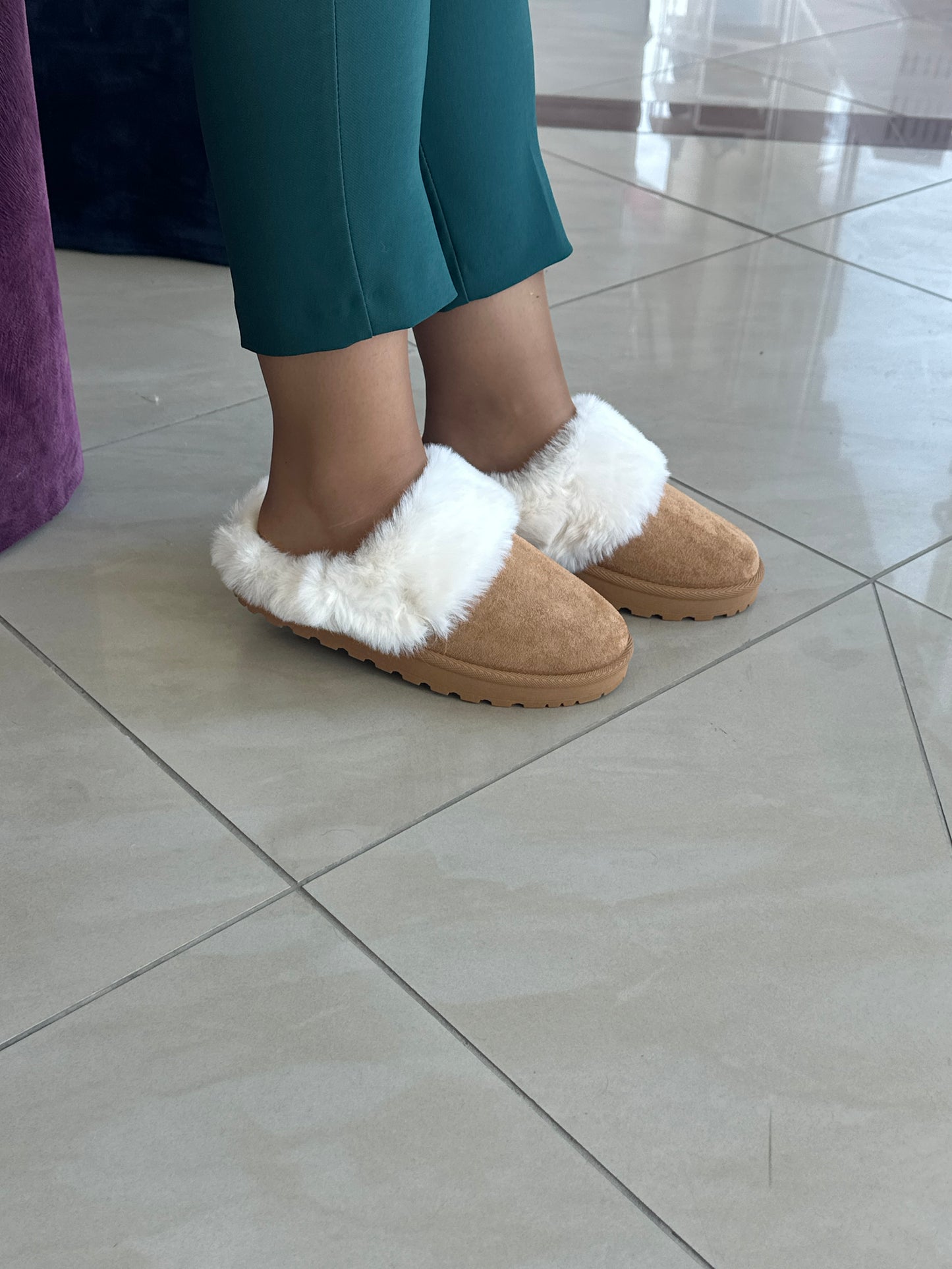 Papuqe dimri - Cod 0253