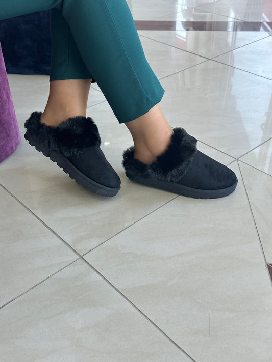 Papuqe dimri - Cod 0253