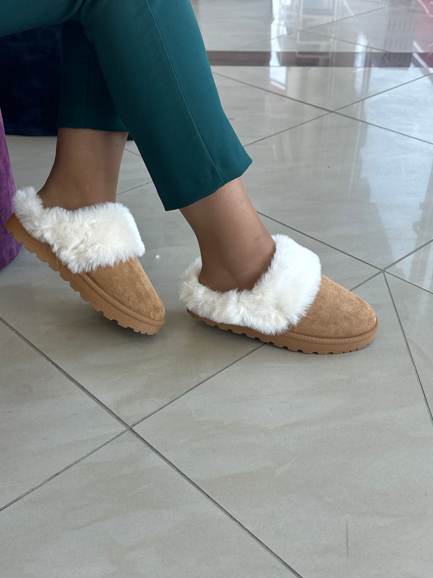 Papuqe dimri - Cod 0253