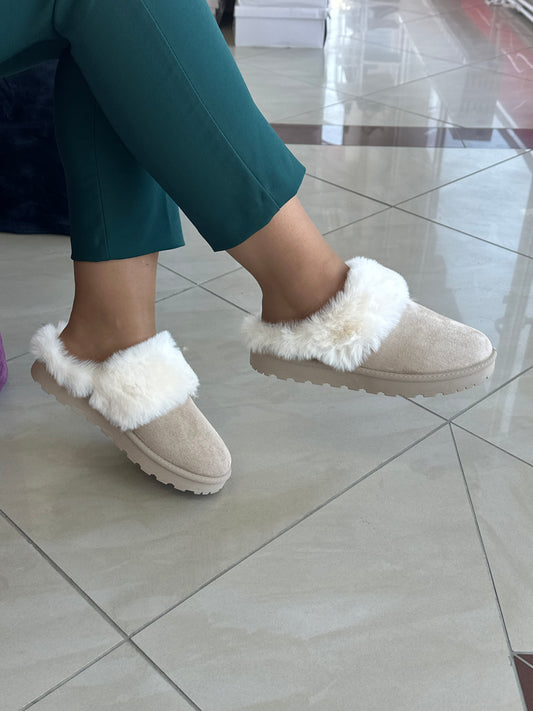 Papuqe dimri - Cod 0253