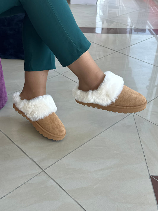 Papuqe dimri - Cod 0253